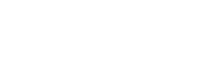 Logo CSNERT